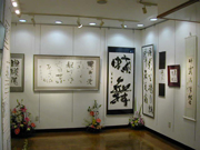 topics-scene-in-gallery 14