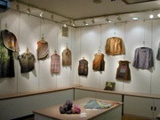 topics-scene-in-gallery 15