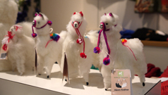 20140114 ALPACA-06