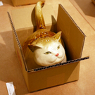 20140324 HaraKaori-14