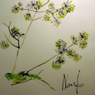 20141012 RIDICULE-09