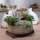 20160530 HaraKaori-01