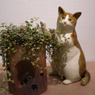 20160530 HaraKaori-04