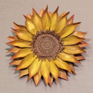 20161025 sanninten-01