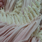 20161214 kyotoshibori-01