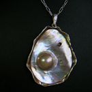 20171211 motofuji-04