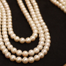 20180307 harunotenjikai-10