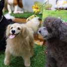 20180521 tezukuri5ninten-04