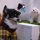 20180521 tezukuri5ninten-09