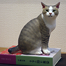 Cats in AKASAKA 2020matsumoto1