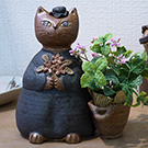 Cats in AKASAKA 2020taiboku2