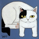 Cats in AKASAKA 2021Shigetaka1