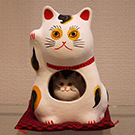 Cats in AKASAKA 2022hara2