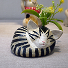 Cats in AKASAKA 2022yoshino2